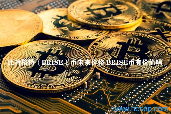 比特格特（BRISE）币未来价格 BRISE币有价值吗