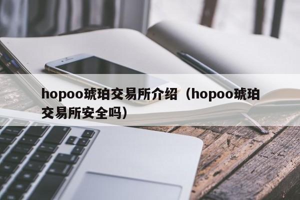 hopoo琥珀交易所介绍（hopoo琥珀交易所安全吗）